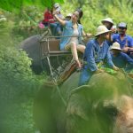 دهکده فیل ها در پاتایا – تایلند