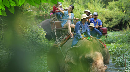 دهکده فیل ها در پاتایا - تایلند